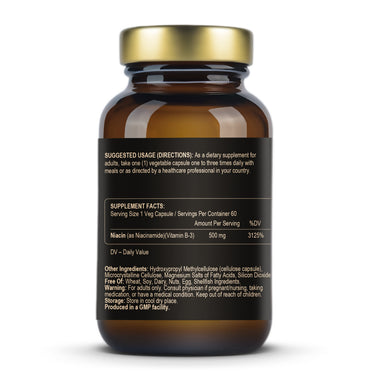 Fuel-Up Niacynamid 500 mg