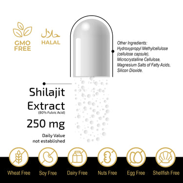 Fuel-Up Ekstrakt z Shilajit