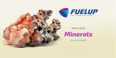Fuel-Up Glicynian Magnezu